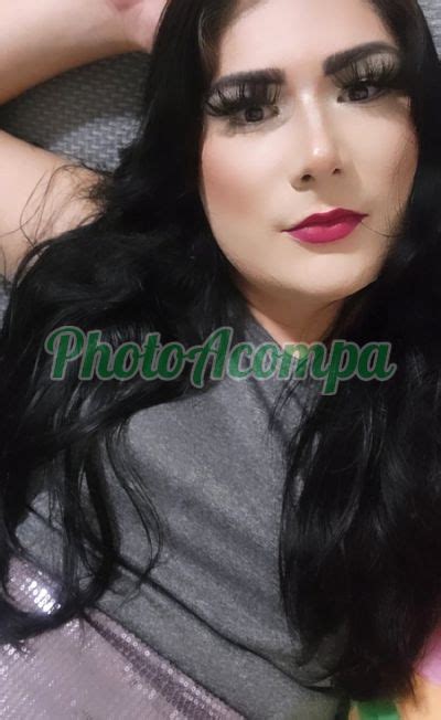 acompanhantes trans campo grande ms|Acompanhantes trans e travestis na Região Centro de Campo .